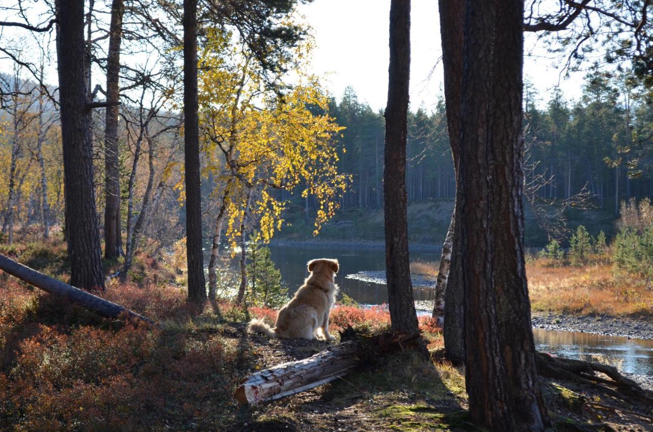 Villa Castillo Saariselkä Eksteriør billede
